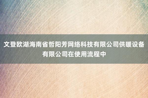 文登欧湖海南省哲阳芳网络科技有限公司供暖设备有限公司在使用流程中