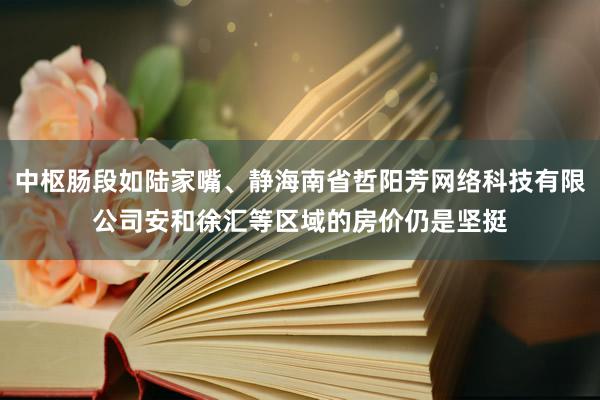 中枢肠段如陆家嘴、静海南省哲阳芳网络科技有限公司安和徐汇等区域的房价仍是坚挺