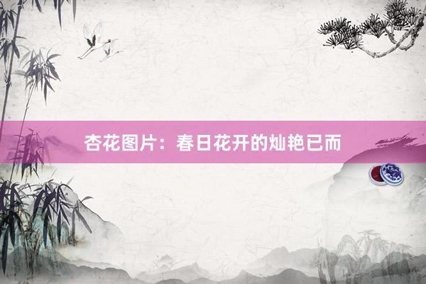 杏花图片：春日花开的灿艳已而