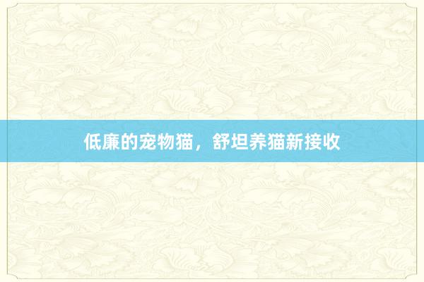 低廉的宠物猫，舒坦养猫新接收